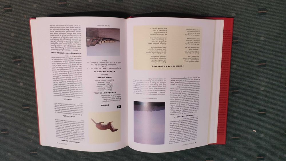 Portugal Animal - Clara Pinto Correia/António José Cidadão