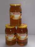 Miód wielokwiatowy