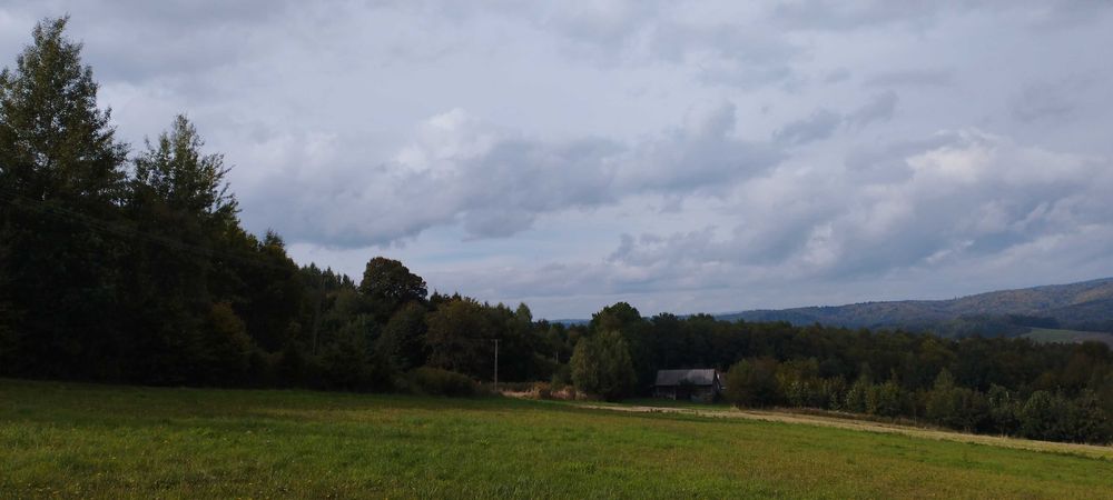Sprzedam działkę widokową w Gogołowie