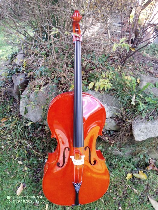 Bas góralski kontrabasetla