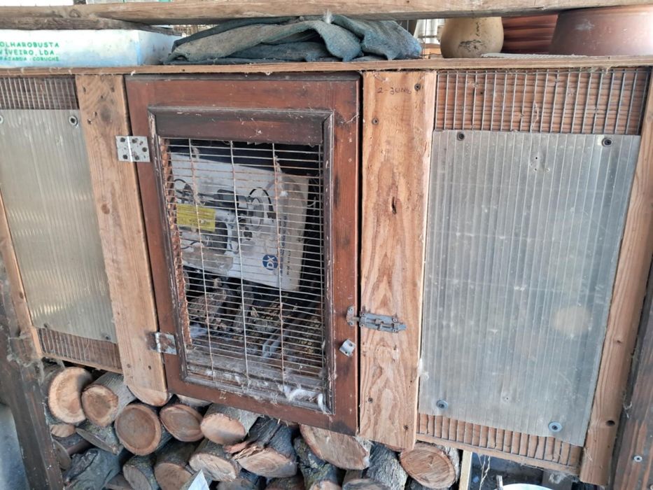 Coelheiras em madeira