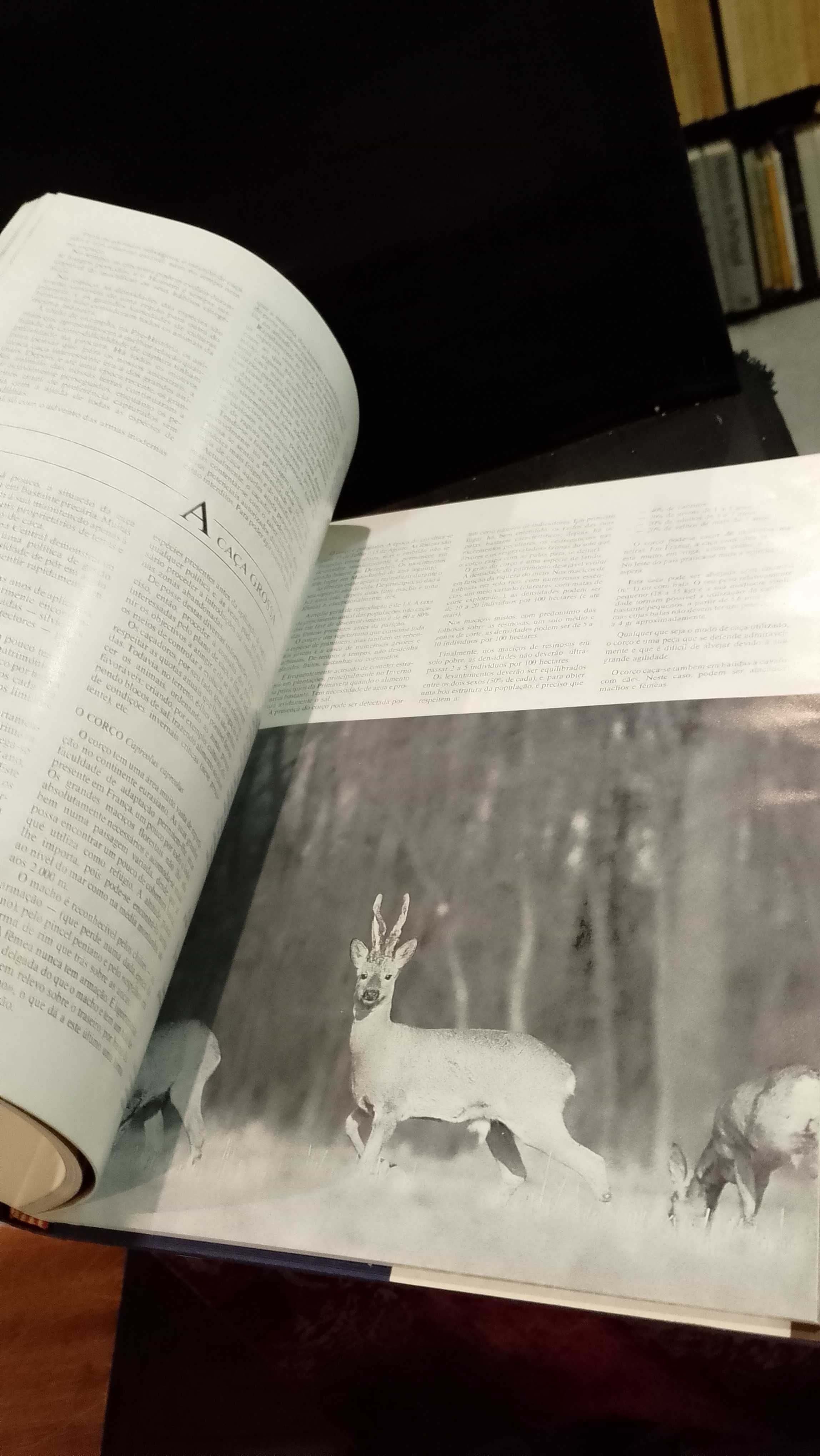 A Caça - Michel  Devort e Jésus Veiga