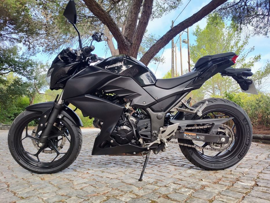 Kawasaki Z300 (ER300A)