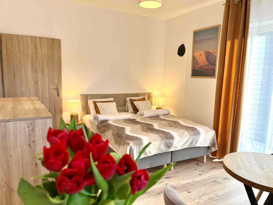 Sylwester w Karpaczu z widokiem na góry wypoczynek parking śniadania!