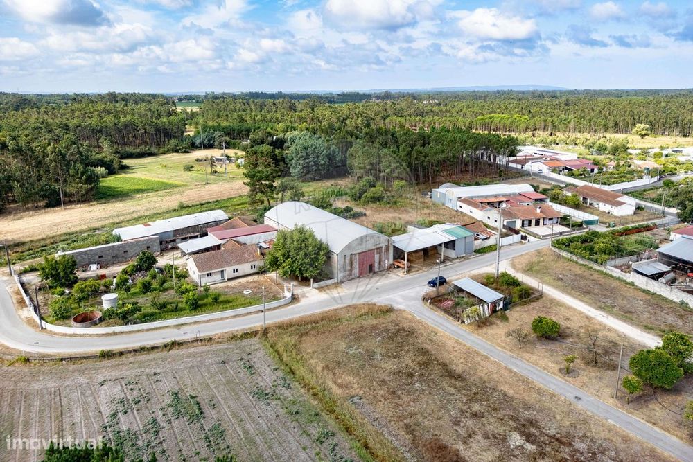 Armazém  para venda