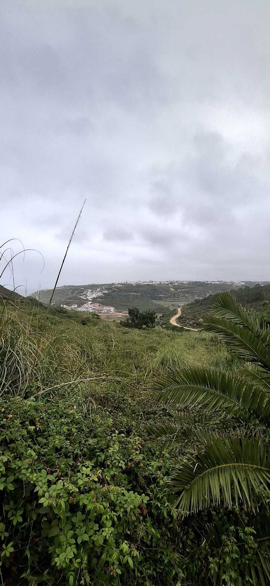 limpeza de terrenos