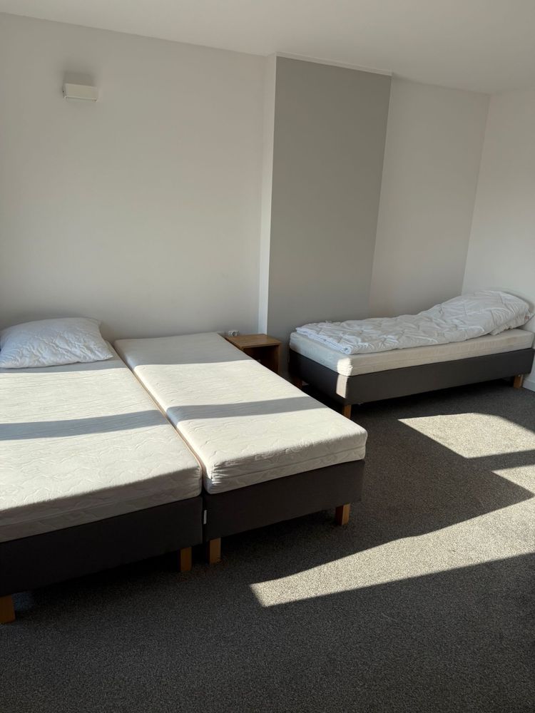 Łóżka pojedyncze 16 sztuk