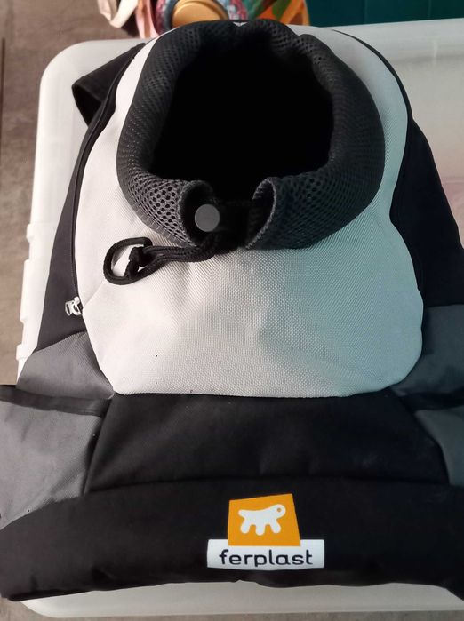 transportar animal pequeno porte