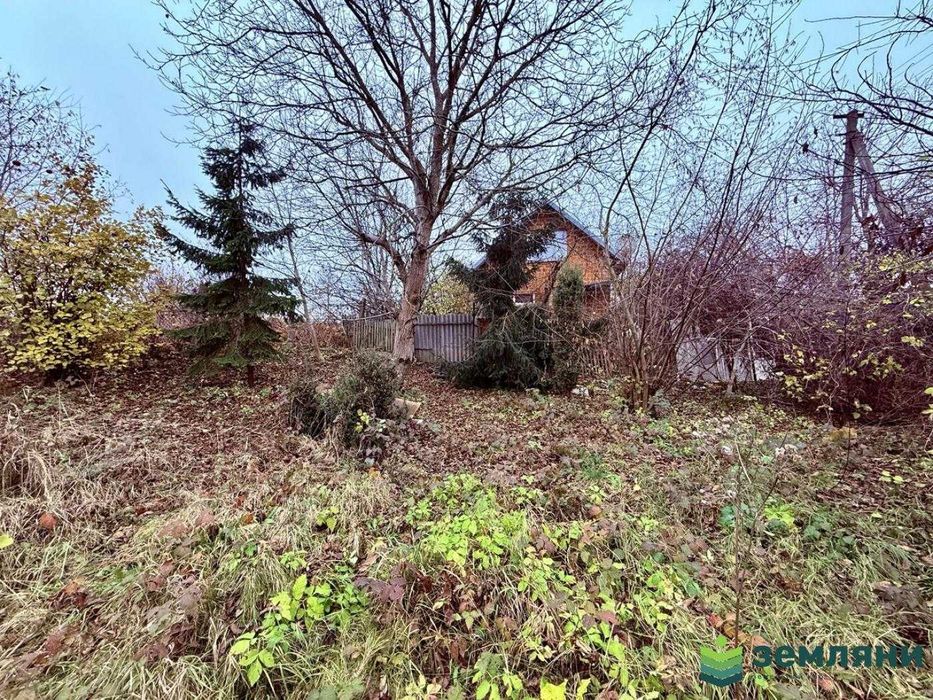 Продається дачна ділянка у с. Хриплин (7)