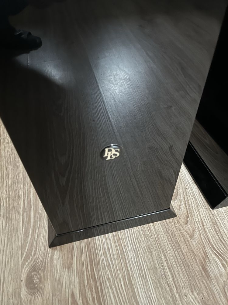 Audiofilskie DLS r55