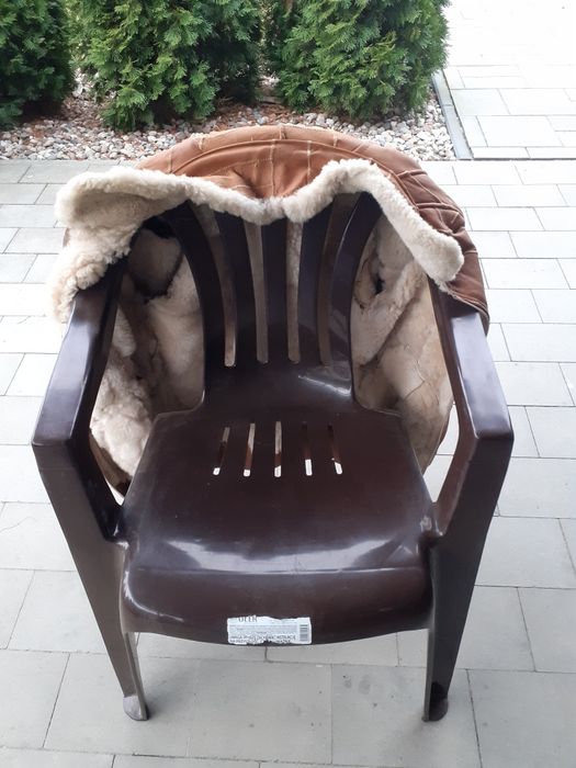 Kuryka skurzana zimowa