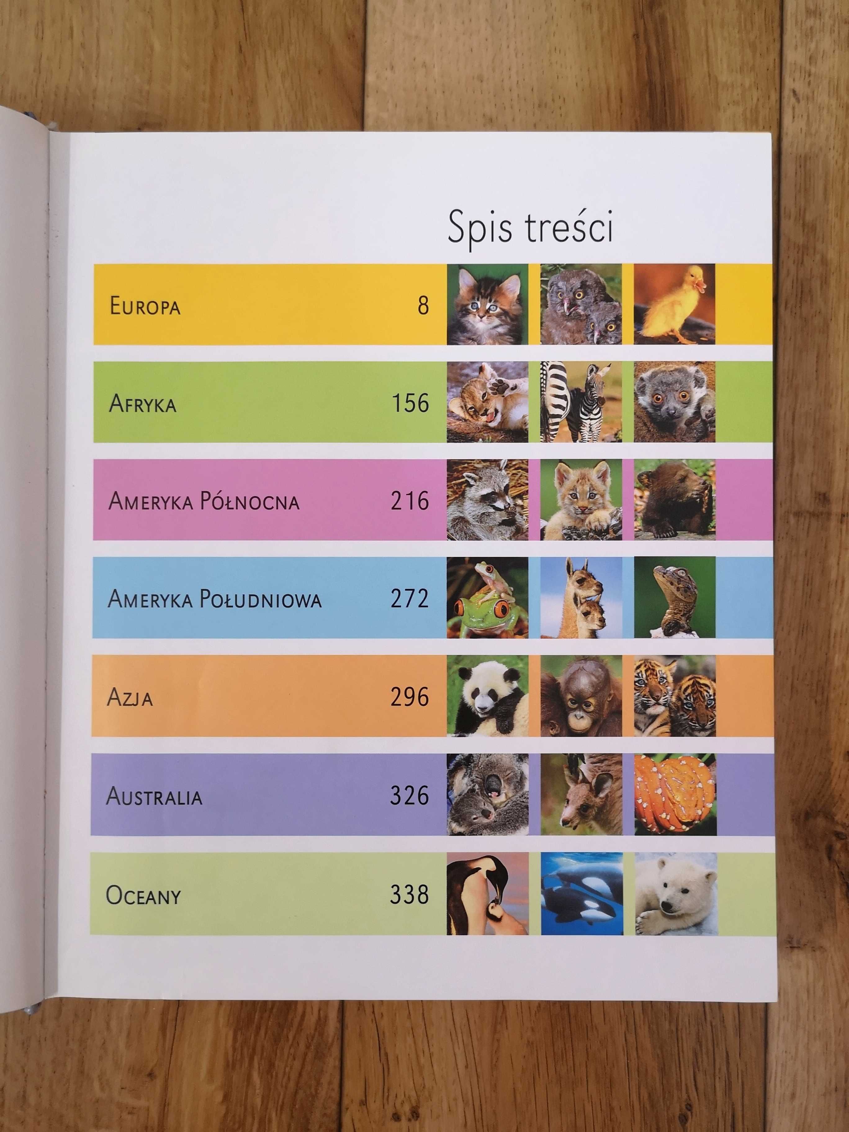 Encyklopedia 1000 Młodych zwierząt
