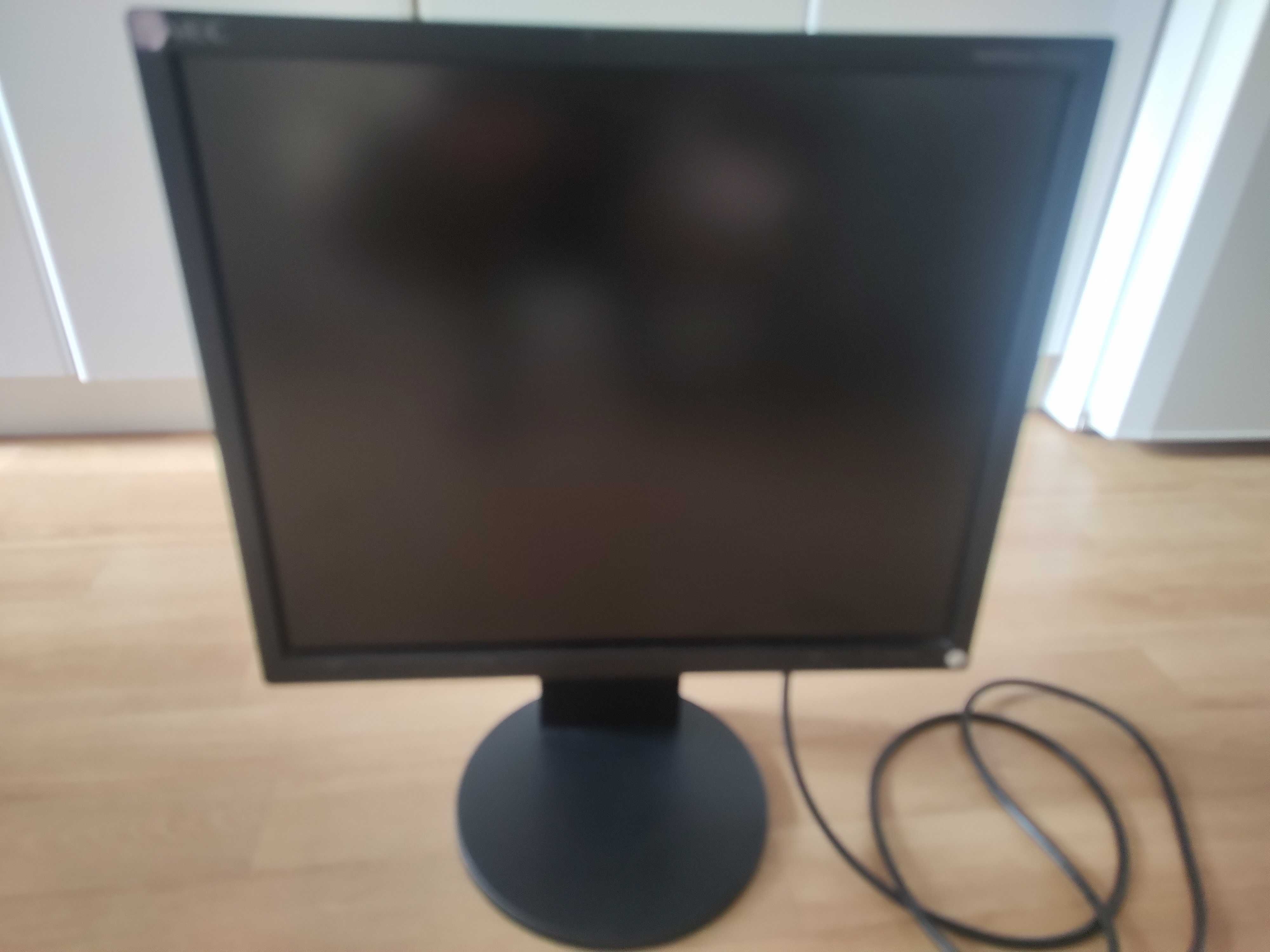 Monitor NEC 19 cali