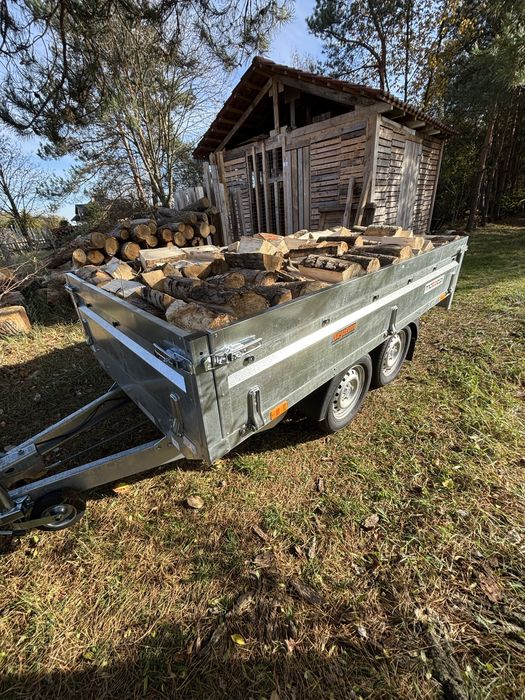 Drewno opalowe lisciaste