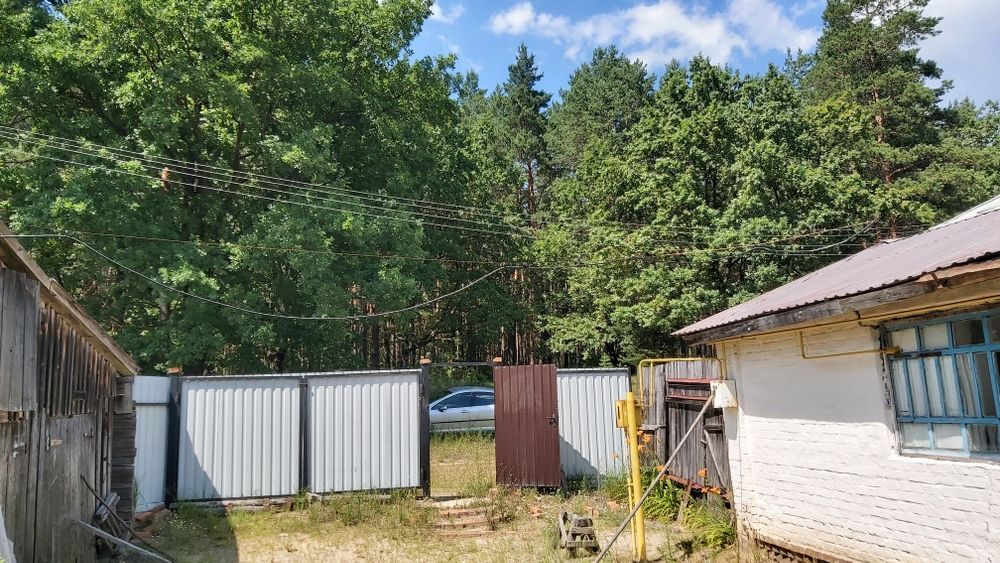Будинок у ліса, з газом. Блакитні озера.