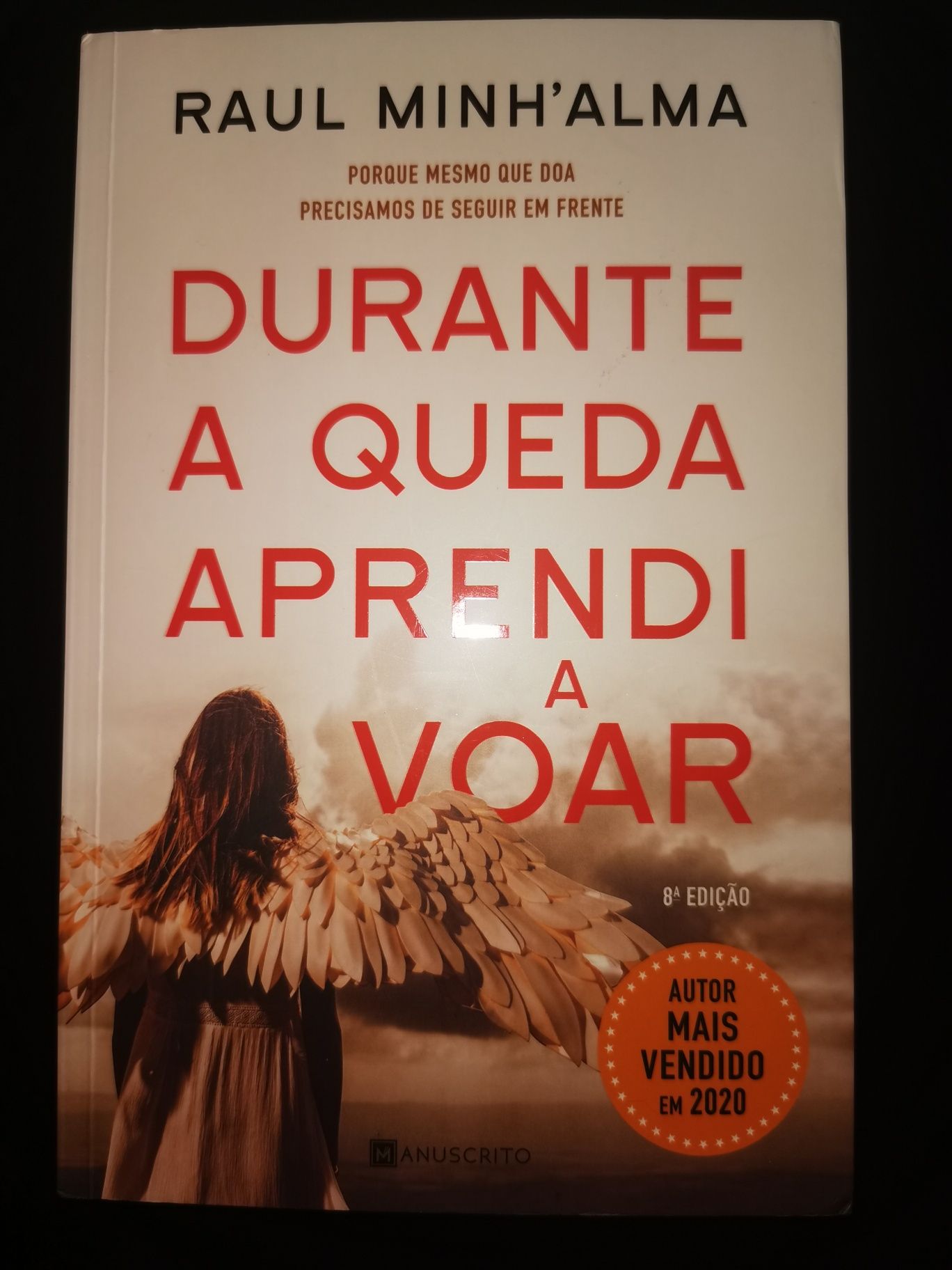 Livro "Durante a queda aprendi a voar"