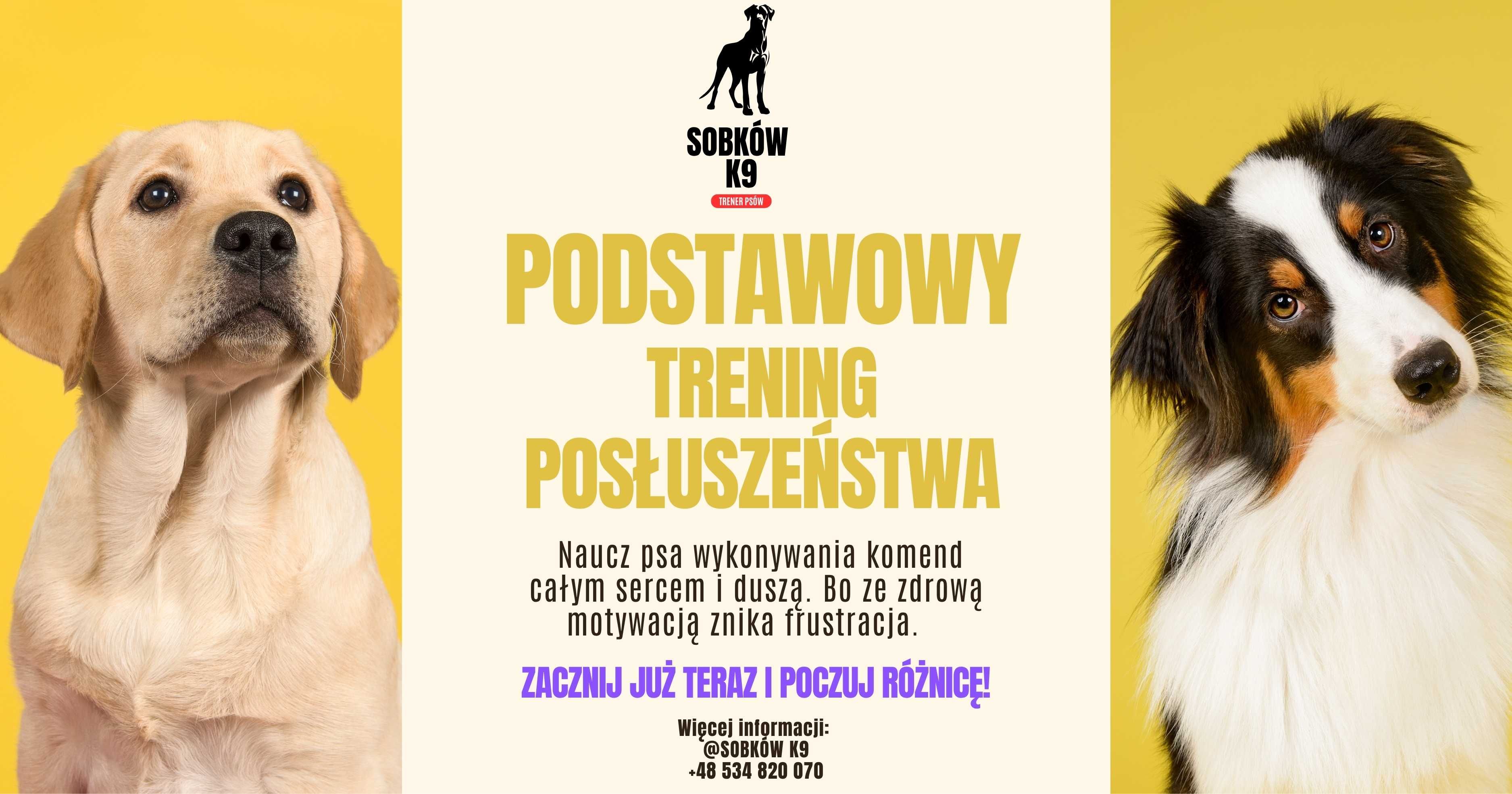 TRENER PSÓW / Szkolenie psów / psi behawiorysta / DARMOWE konsultacje