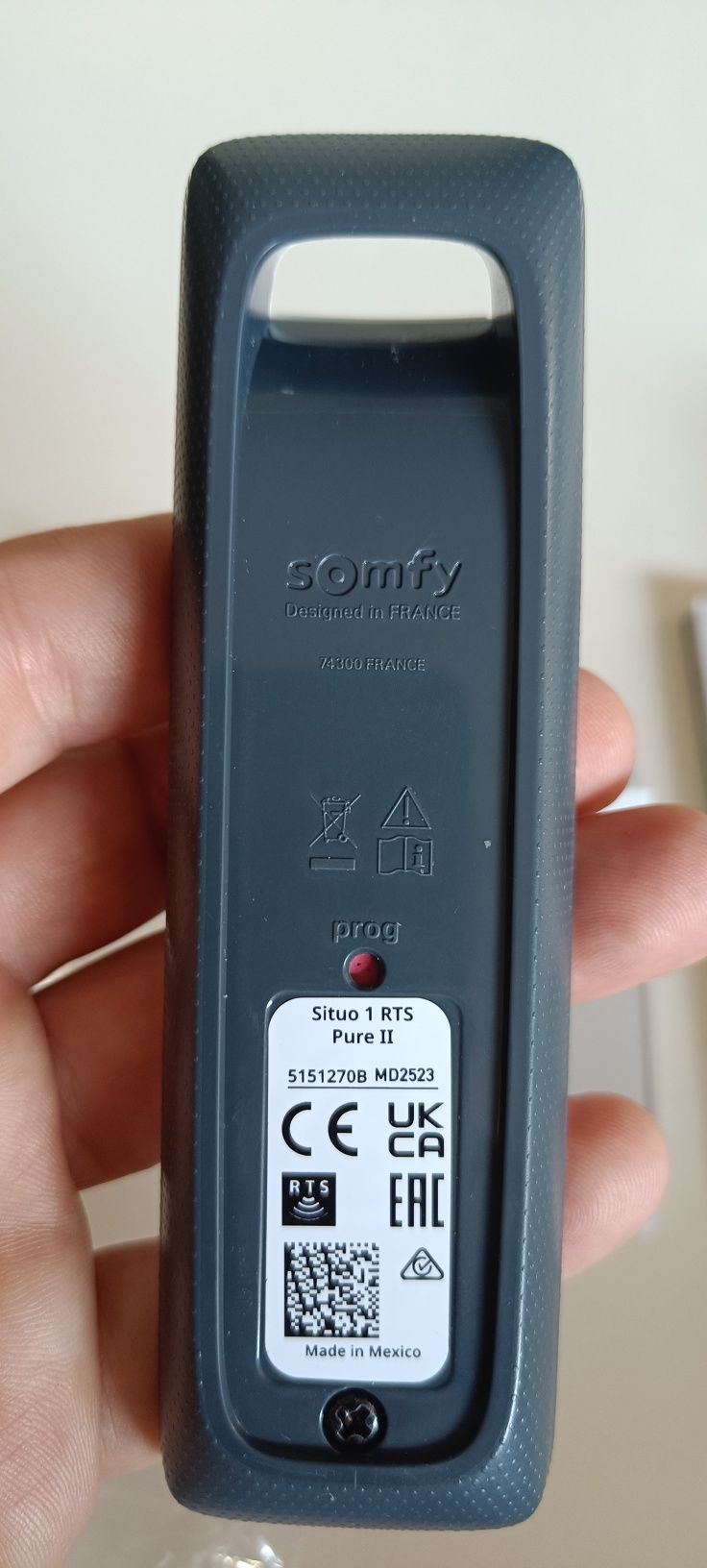 Pilot Somfy Situo RTS pure 1