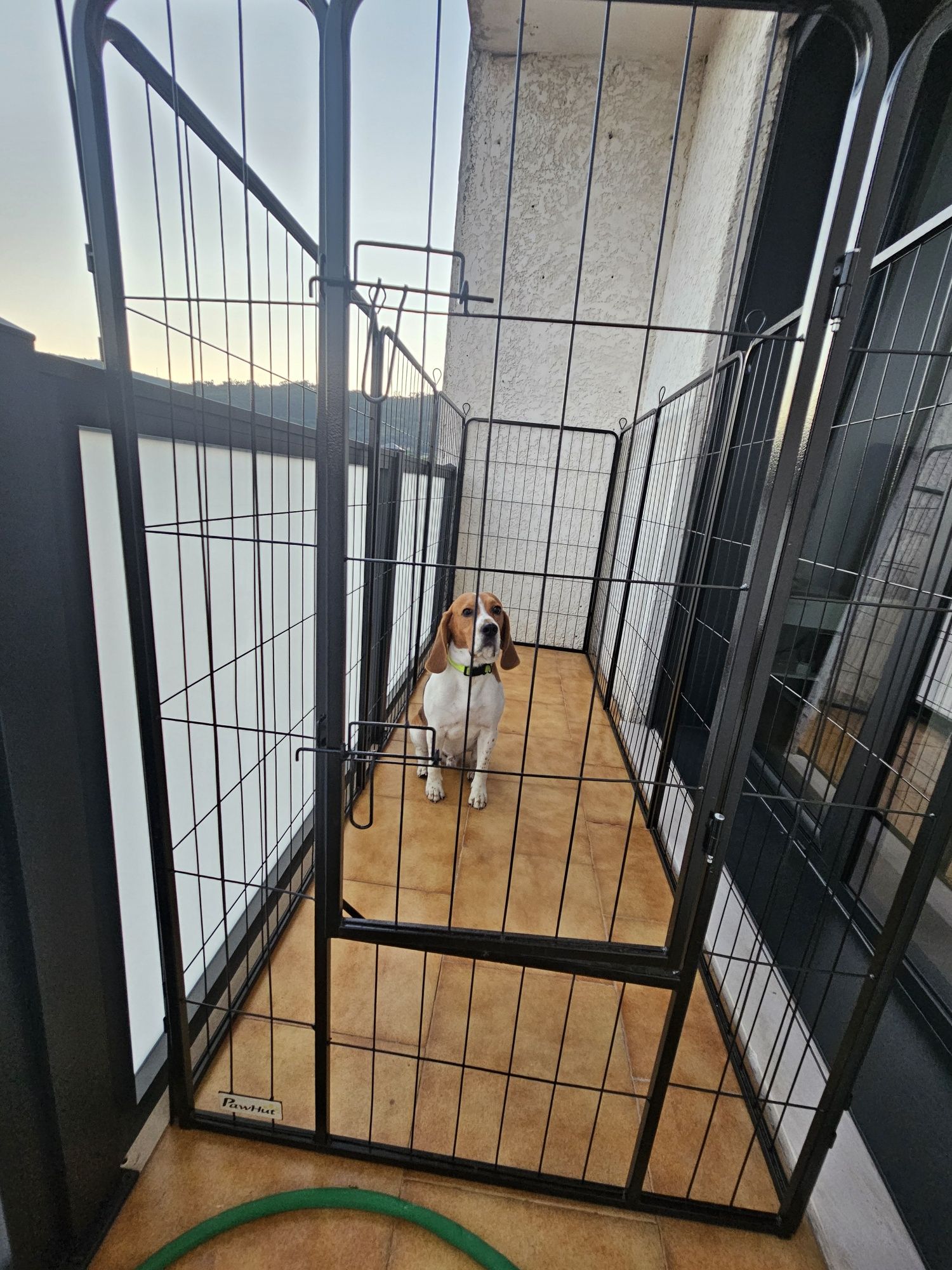 Parque para animais