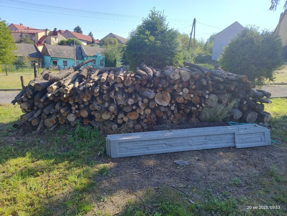 Drewno opałowe pocięte
