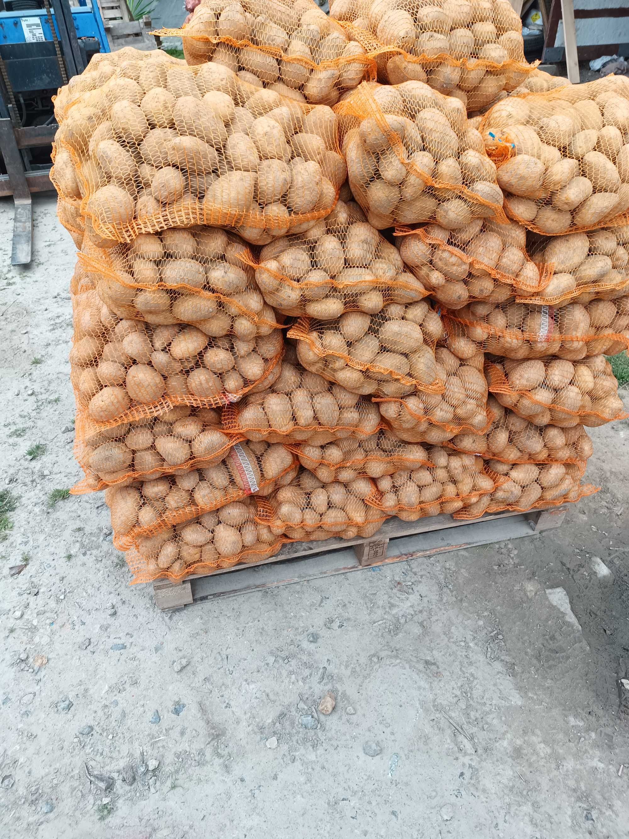 Sprzedam ziemniaki odpadowe