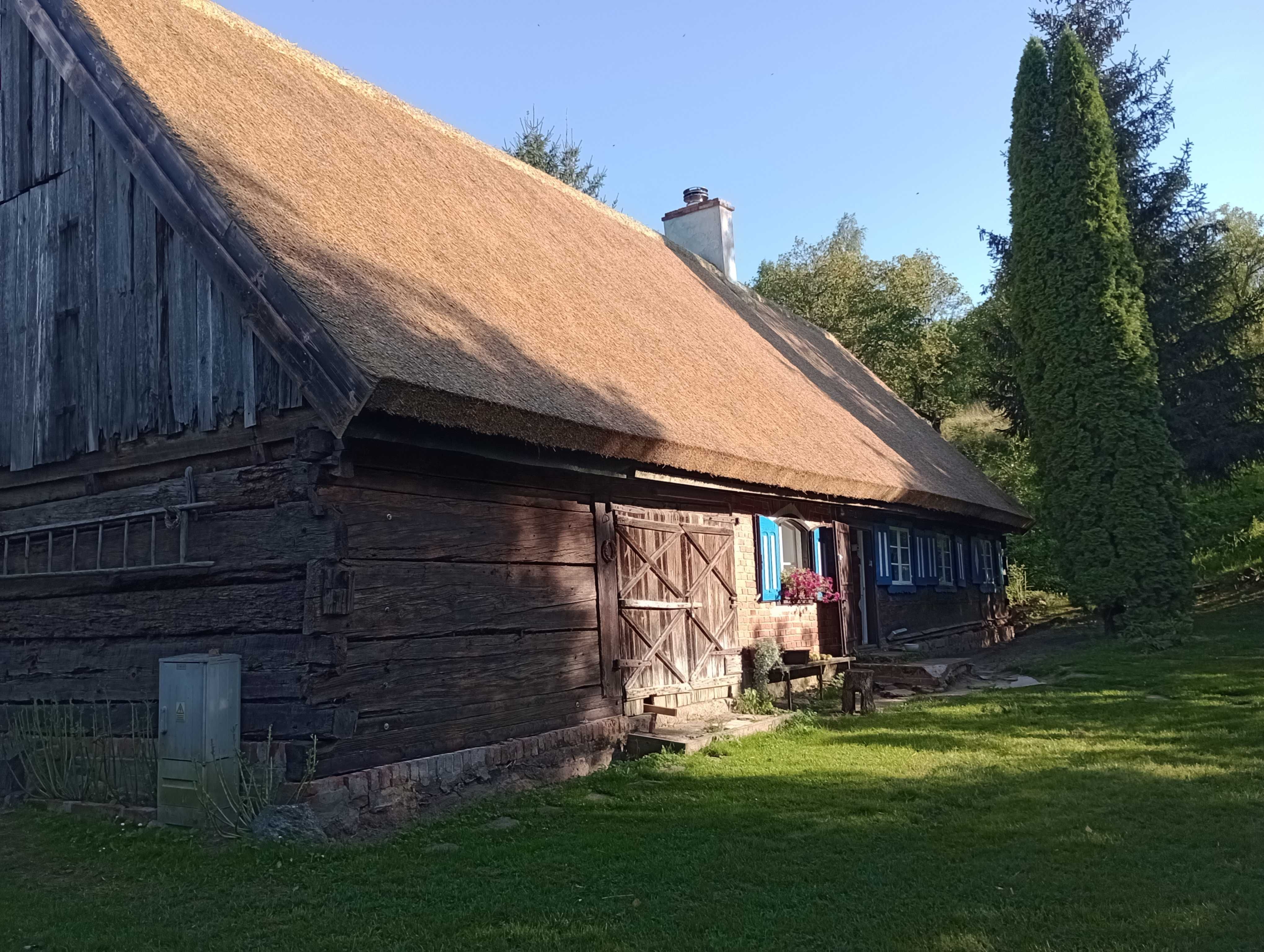 DACH TRZCINOWY ,dach z trzciny, strzecha ,altanki ,remonty ,naprawa .