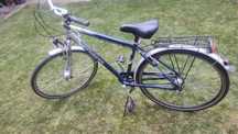 Rower Pegasus Milano