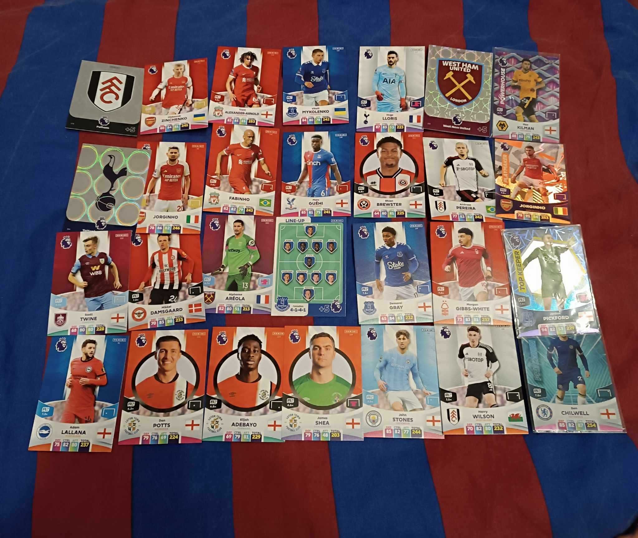 Karty piłkarskie premier league panini