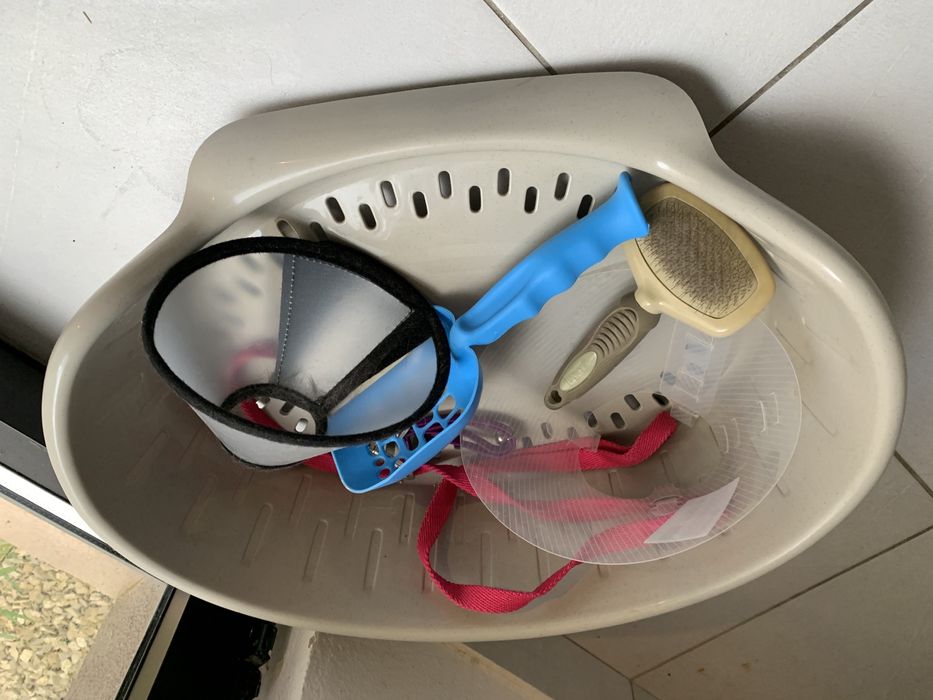 Cesta p/ gato e acessórios