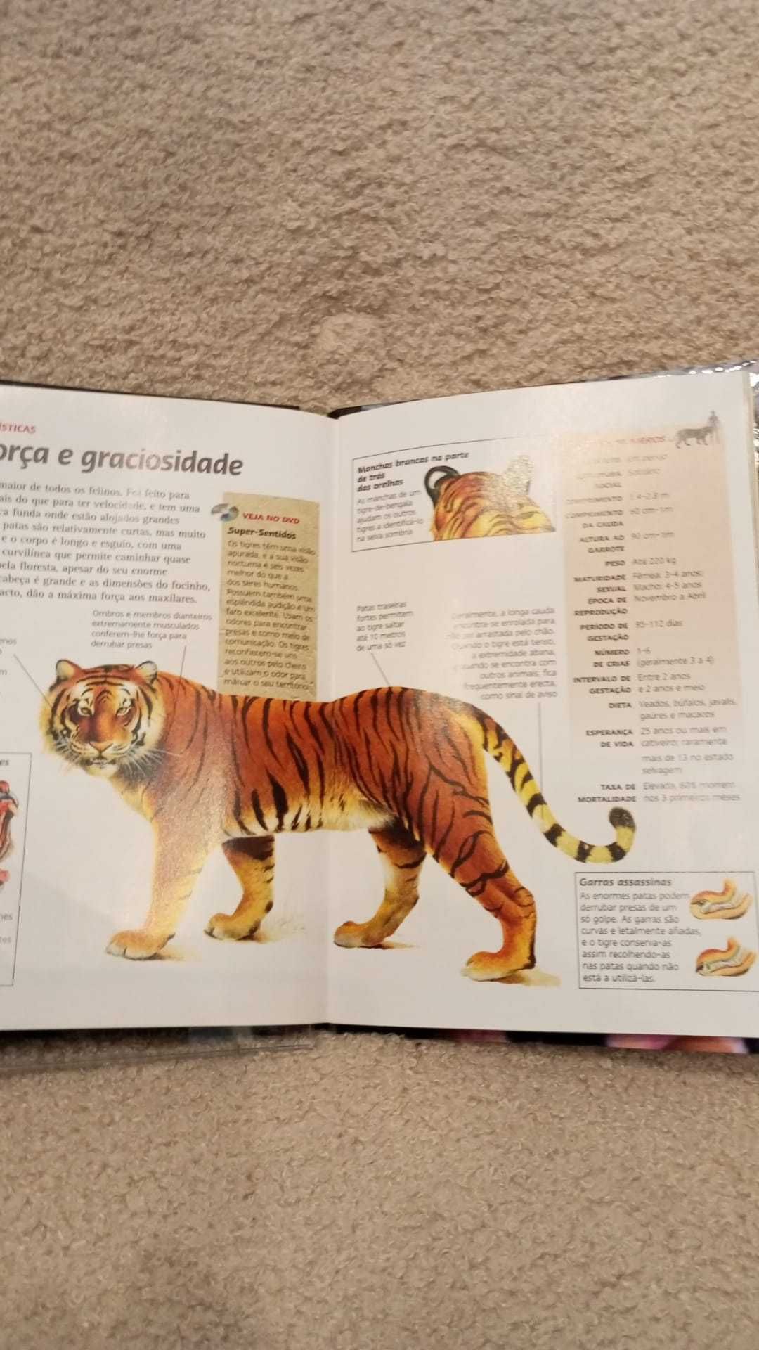 DVD original "Tigres dos Pântanos"