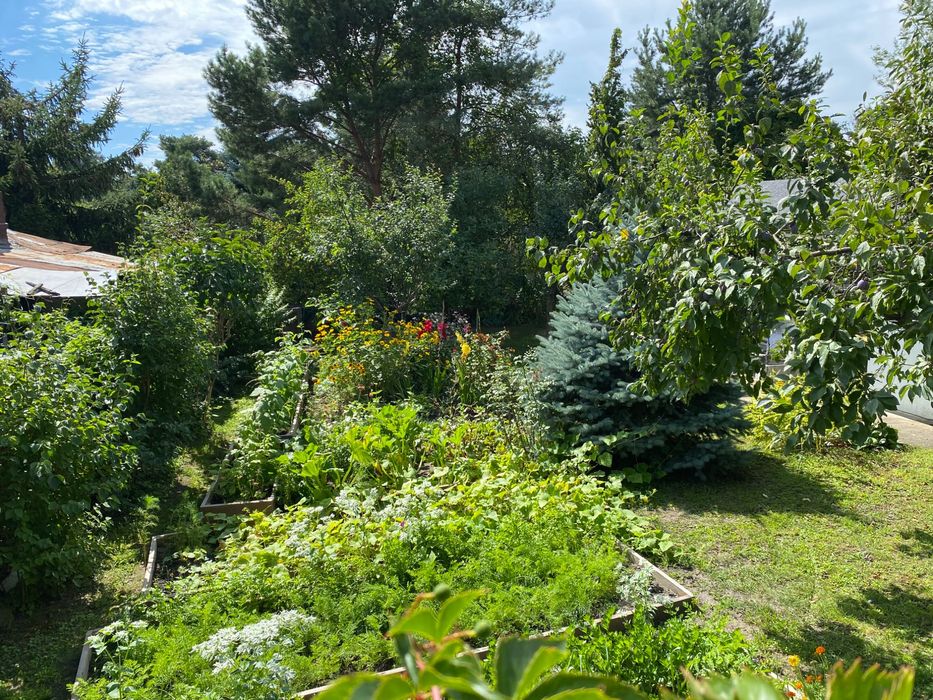 Dzialka RODO -  Kepa Potocka Warszawa