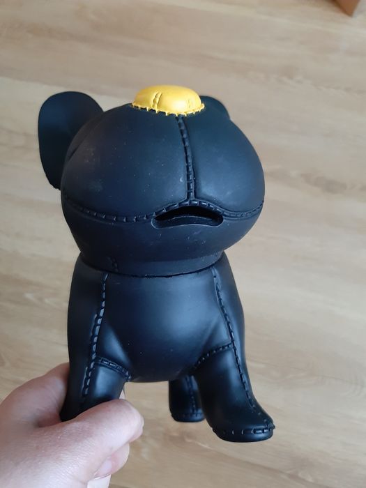 Pies skarbonka duży