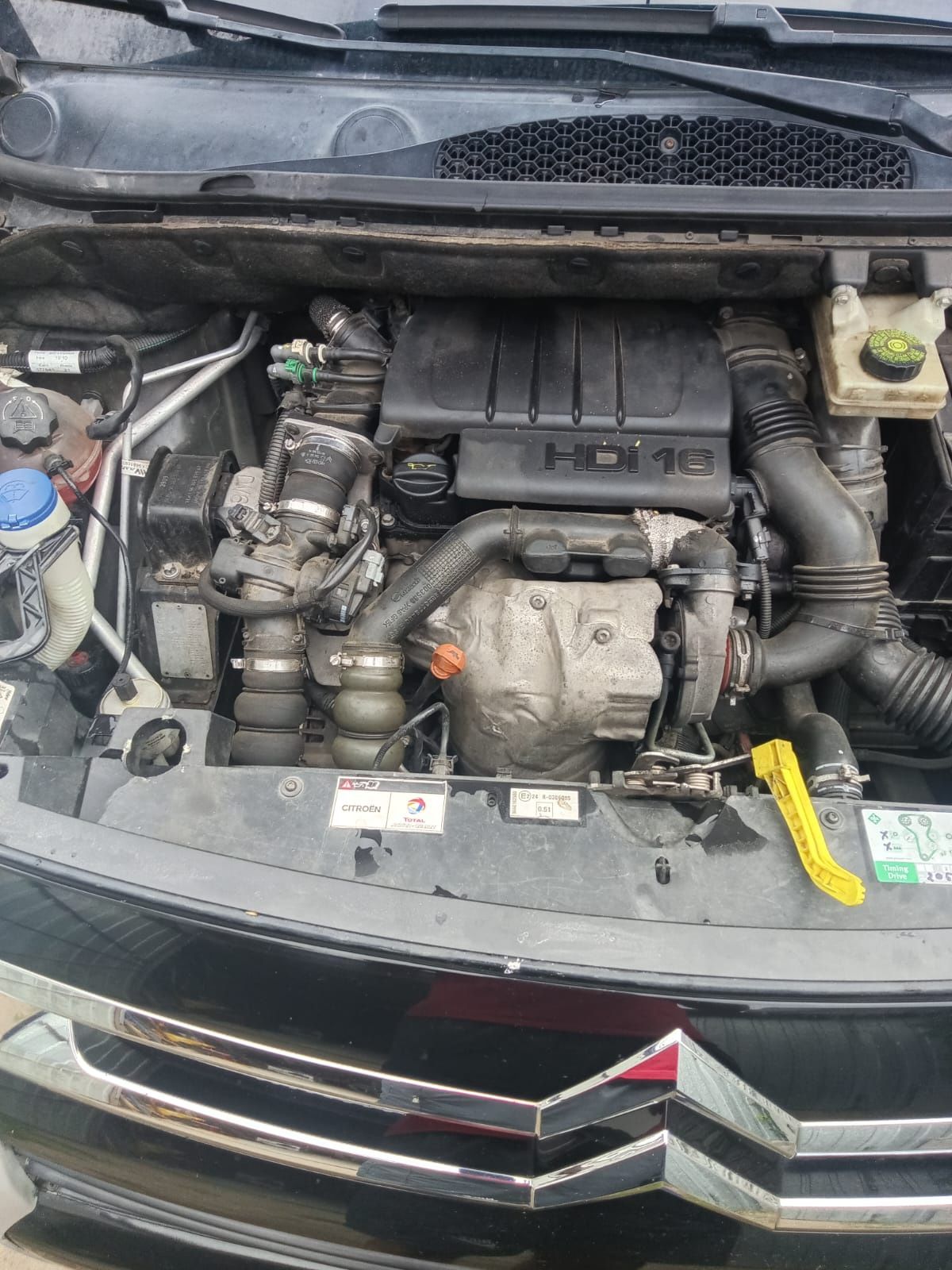 Citroen Berlingo multispace panorama