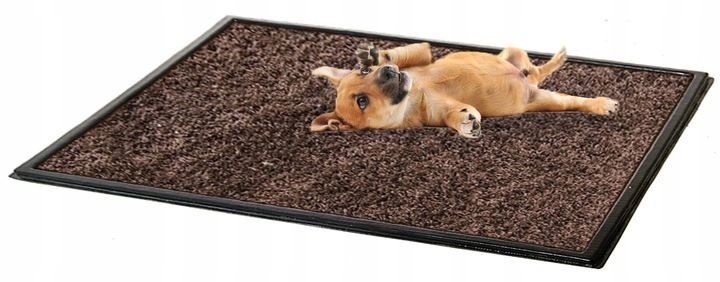 Kuweta Mata Na Podkłady Trawa Dla Psa Szczeniaka Do Nauki Czystości Si