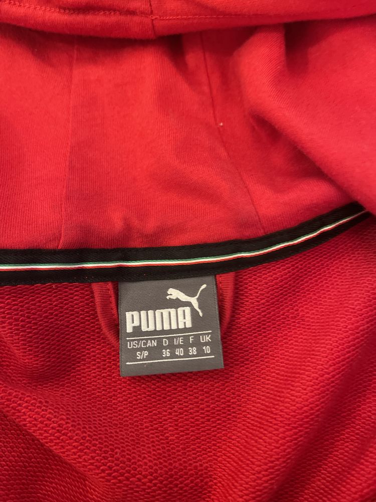 Puma Ferrari костюм