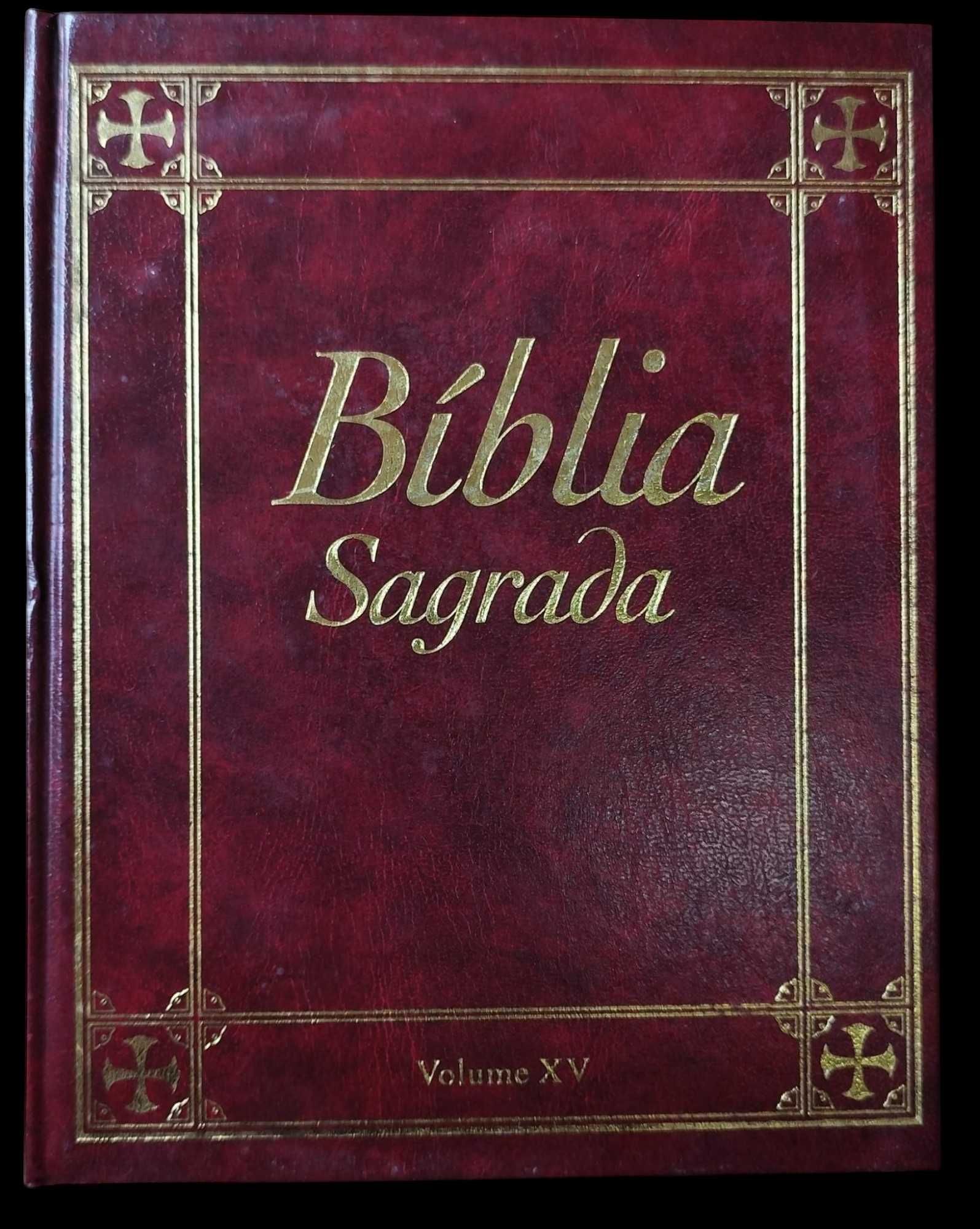 Bíblia Sagrada - 15 vol.