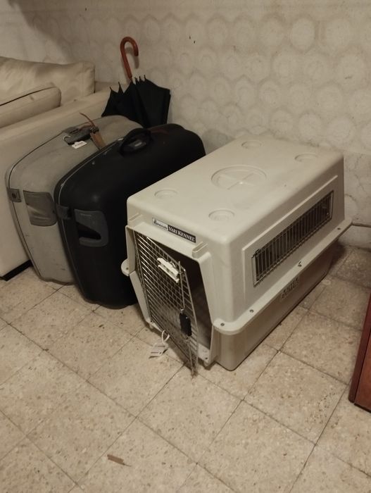 Caixa de transporte viagem, animal