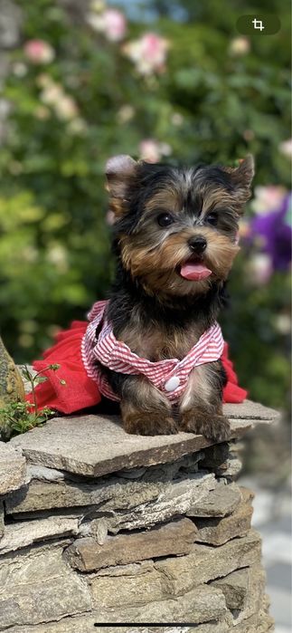 Кукольная  мини девочка