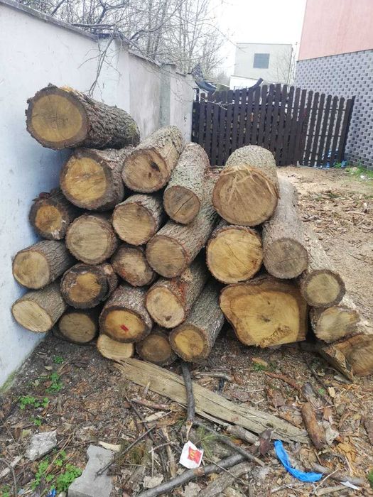 Sprzedam drewno Dąb