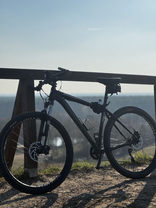 Specialized rockhopper pro