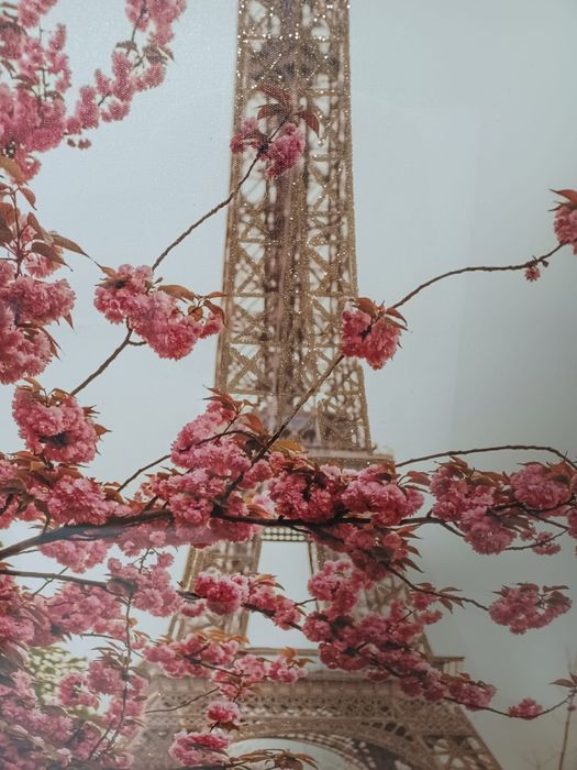 Tela Torre Eiffel Paris