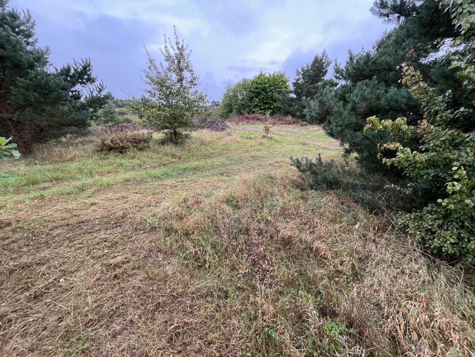 Działka 1451m2 ; cena 85 zł za metr działki nr: 41/6