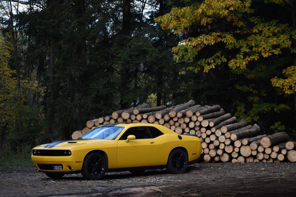 WYNAJEM Dodge Challenger Jesienna Promocja