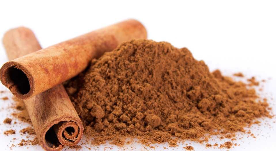 Árvore de CANELA Original