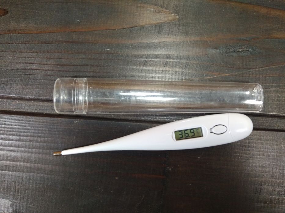 Медицинский цифровой термометр + тубус для хранения + питание