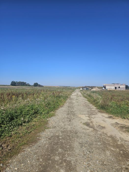 Dzialka siedliskowa Bogdaszowice