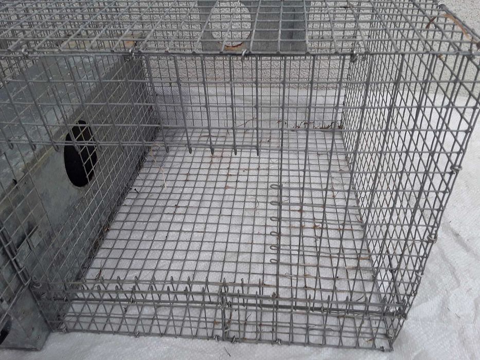 Klatka - na Szynszyl, Królik, Świnka, Papugi . . .