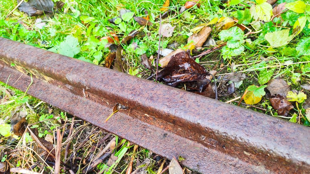 Рейса Жилізнодорожна