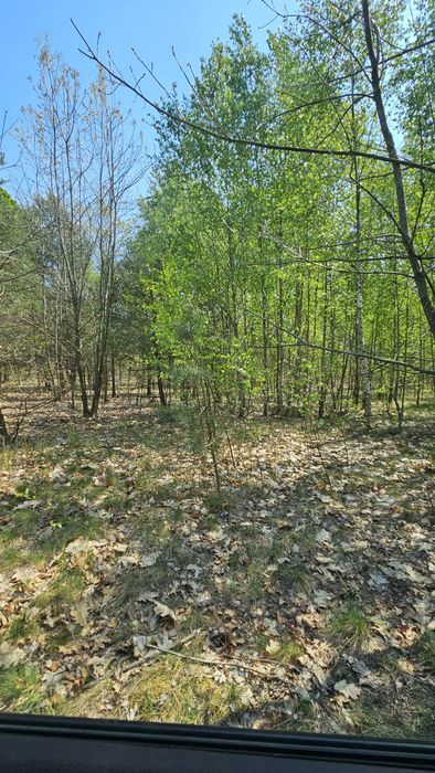 Земельна ділянка 2.4 га