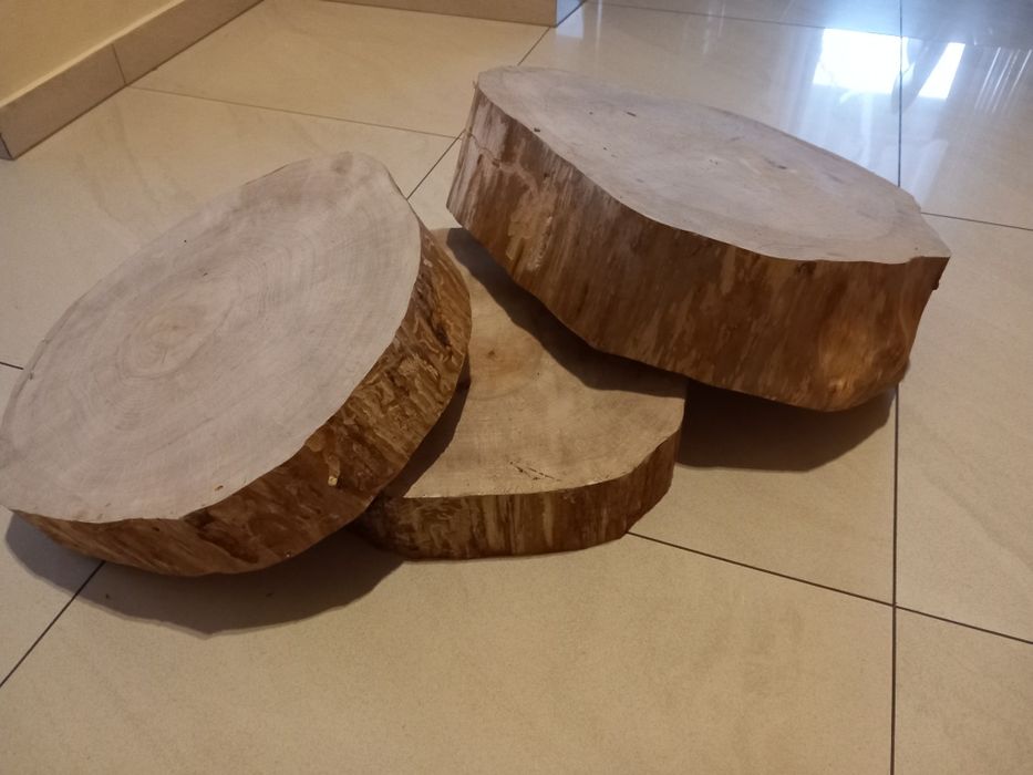 Plasty drewna brzozy planowane 45 cm